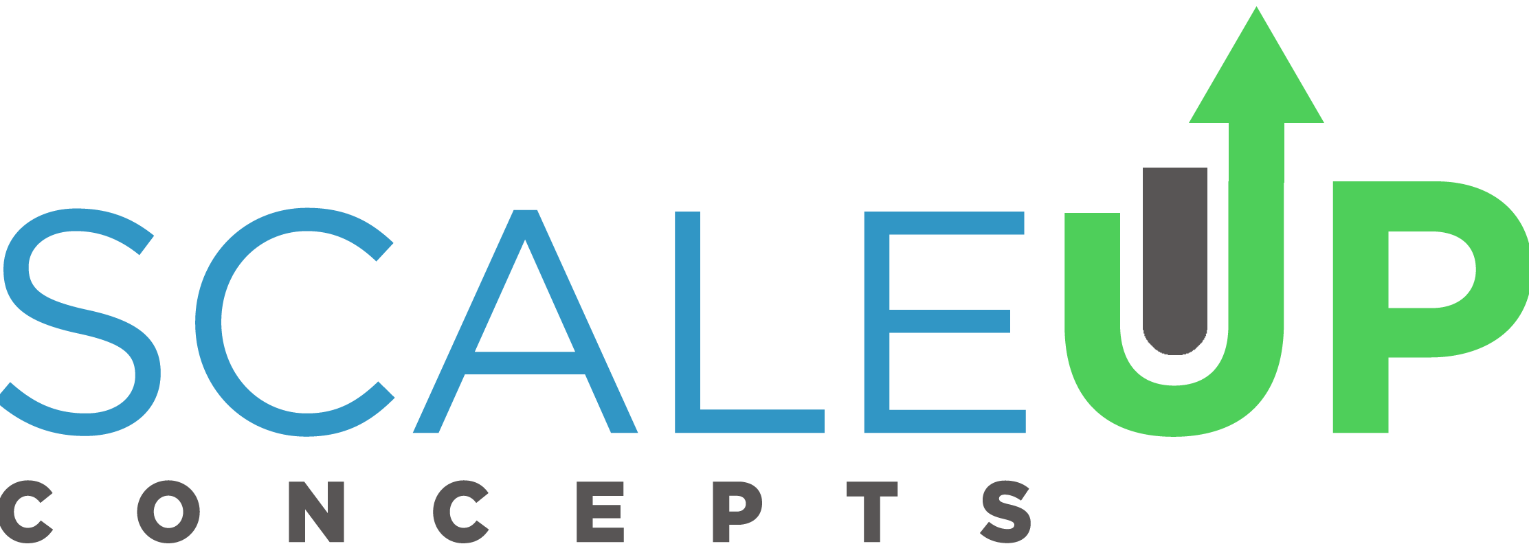 Scaleup Concepts Ltd